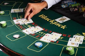 rummy gold Bingo